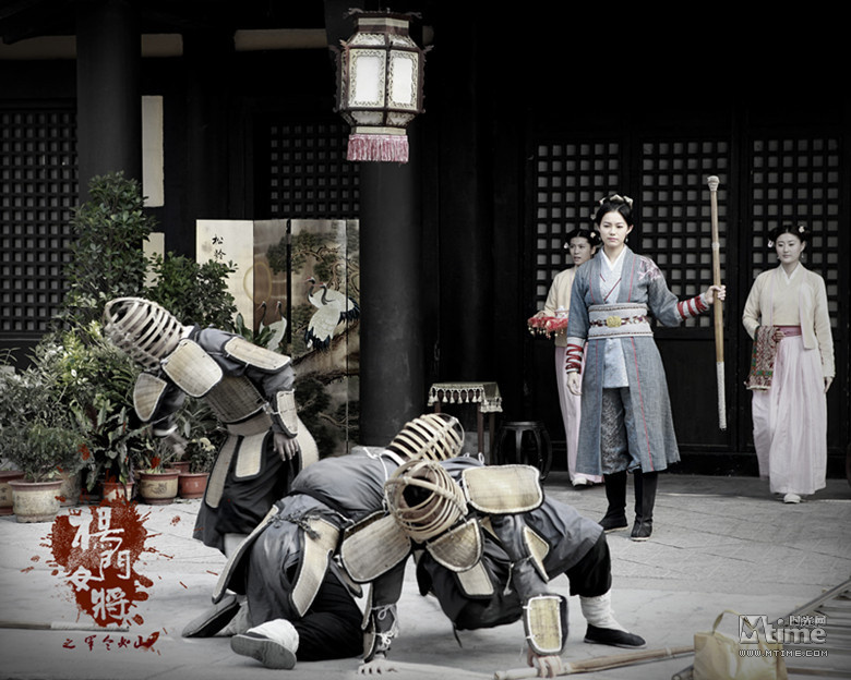 《<em>杨门女将</em>》揭秘女将独家秘技 女演员<em>武术</em>集