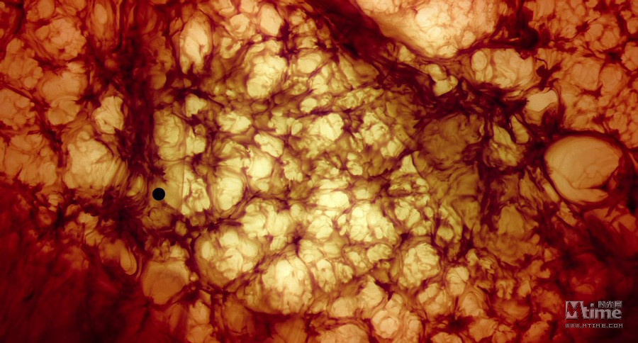 时光拉片室第二期 跟着《生命之树》识星云