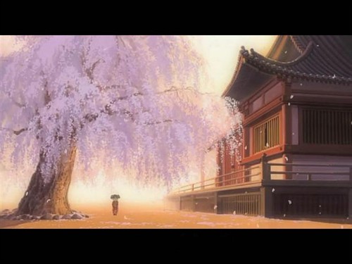 《迷宫的十字路口》+狂热动漫