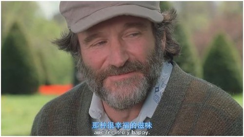 也曾骄阳似我[心灵捕手] – 《心灵捕手》影评