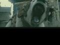 黄金罗盘The Golden Compass(2007)