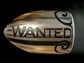 通缉令Wanted(2008)