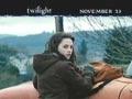 暮光之城Twilight(2008)