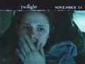 暮光之城Twilight(2008)