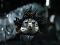 鬼妈妈Coraline(2009)