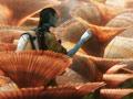 阿凡达Avatar(2009)