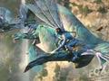 阿凡达Avatar(2009)