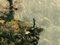 大兵小将Little Big Soldier(2010)