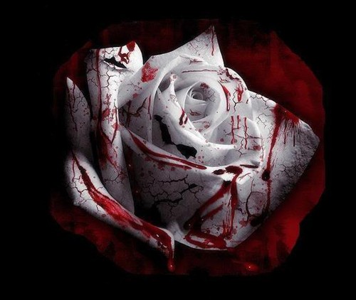 绝爱狂欢 MM这就是音乐 电影