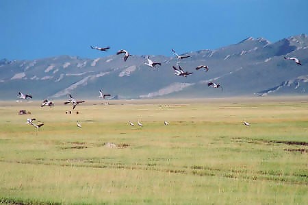 【听…】如果有来生--谭维维 寂寞倾城 电影