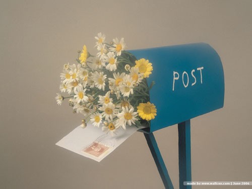 【听…】如果有来生--谭维维 寂寞倾城 电影