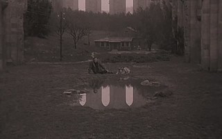 乡愁是什么? 文学沙龙 电影