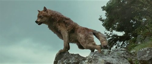 [暮光之城2:新月]