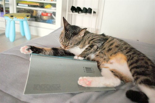 闲小闲的所有普通日志 –