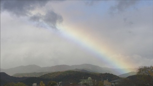 雨后彩虹沙雕文案,雨后彩虹沙雕文案怎么写