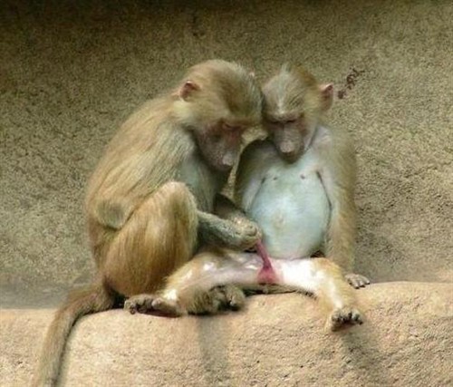 世界上<em>生殖器</em>最大的民族:--<em>非洲象人族</em>. 非正常