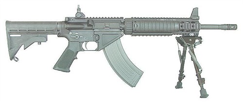 超萌美军兔中东剿匪! 图解《Cat Shit One》中