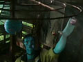 阿凡达Avatar(2009)