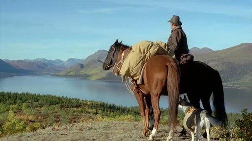 漂亮画面,纯美感情,美丽电影。赏心悦目的东西