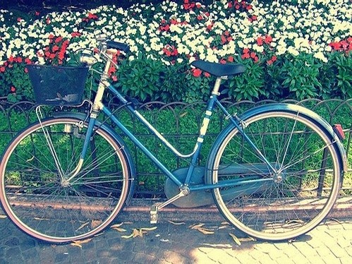 自行车图片代表数字几 132343.69549858.jpg