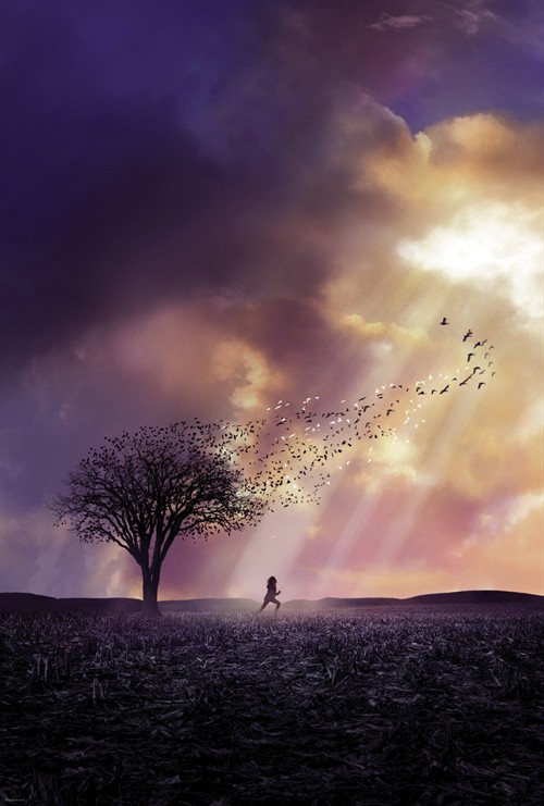 无字幕电影海报 电影世界 电影