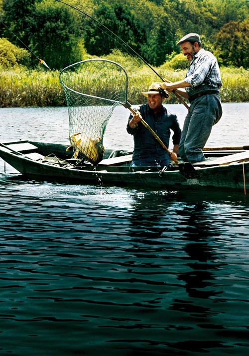 无字幕电影海报