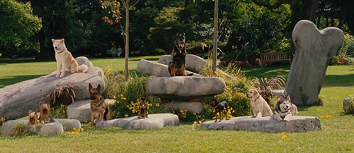 大丹麦狗马默杜克》:大爱犬者的小情调- 《大丹