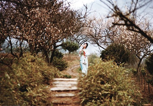 葬花词(侬今葬花人笑痴,他年葬侬知是谁……)