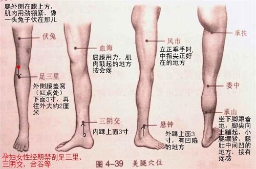 (    )有的 mm 说有图也找不准学位在哪,可以大面积的刮,范围包括到