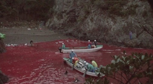 《海豚湾》:血色.虐杀.悲鸣