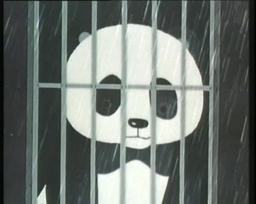动画《熊猫的故事》令人揪心的悲情结尾 善待