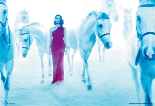 11.5 欧美时装杂志大片精选集 像明星那样穿衣