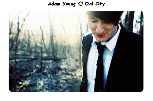 owl city