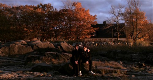 对电影《我杀了我妈妈》的一句话影评 武汉黑