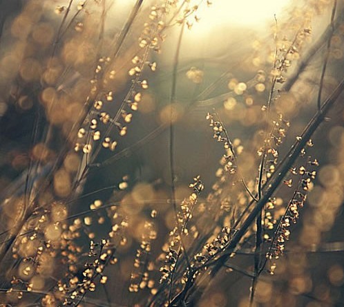 世界很大,世界很小!