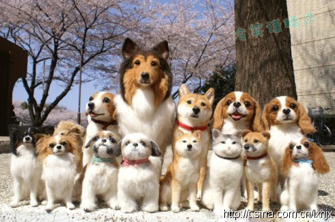 全国第二套兔斯基广播体操--时代在召唤