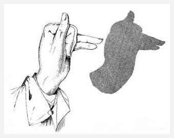 手把手教你玩手影