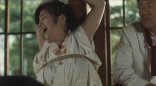 《花与蛇3》:情节烂,绳艺棒 – 《》影评
