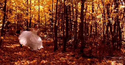 过于惊悚的片名--《我杀了我妈妈》