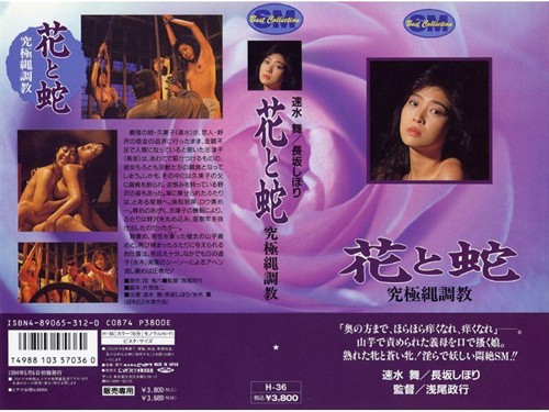 日本经典<em>花与蛇</em>系列全集 – 《》影评