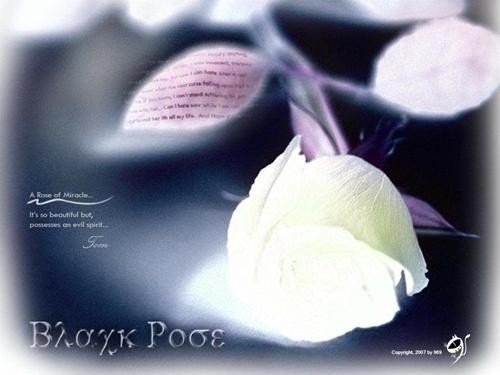 谁杀死了知更鸟 睡教 电影