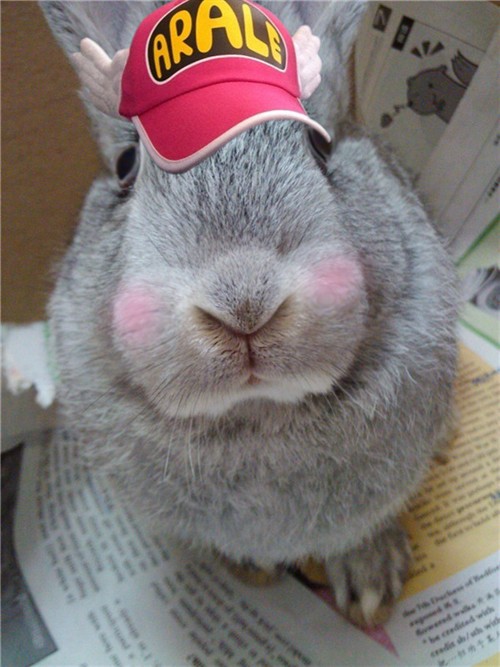 我好寂寞啊! 孤独男女的集合广场 电影