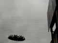 洛杉矶之战Battle: Los Angeles(2011)
