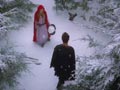 小红帽Red Riding Hood(2011)