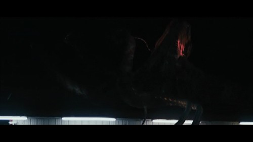 《异兽禁区\/怪兽》:小成本