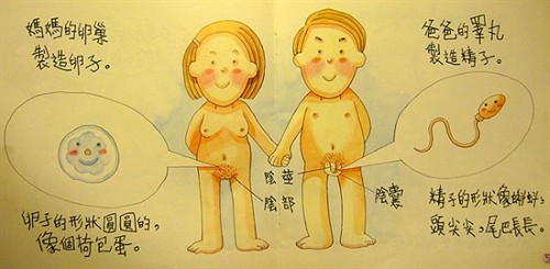 看香港幼儿的性教育绘本:我从哪里来?