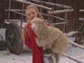 小红帽Red Riding Hood(2011)