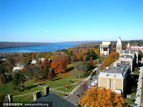 美丽的梦想 电影