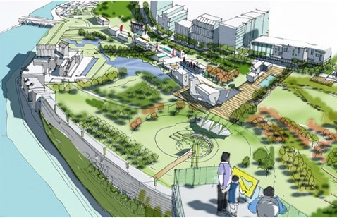 五基地电视动画产量为零,正常吗?