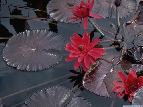 《等你,在雨中》 清新温暖的小事 电影